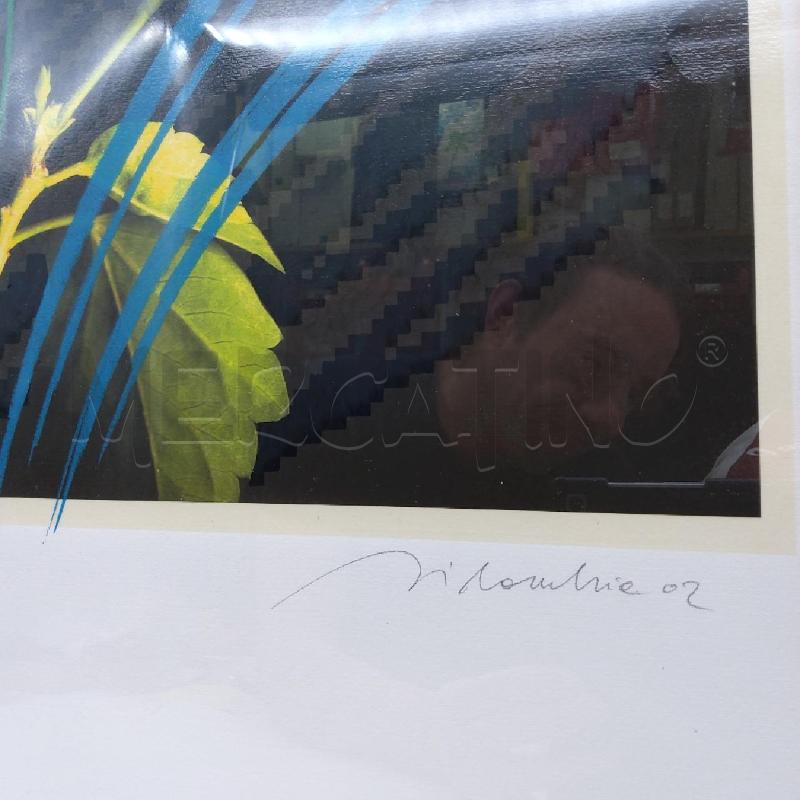 QUADRO GRAFICA DIGITALE FIORE ROSSO MARCO SILOMBRIA | Mercatino dell'Usato San maurizio canavese 3