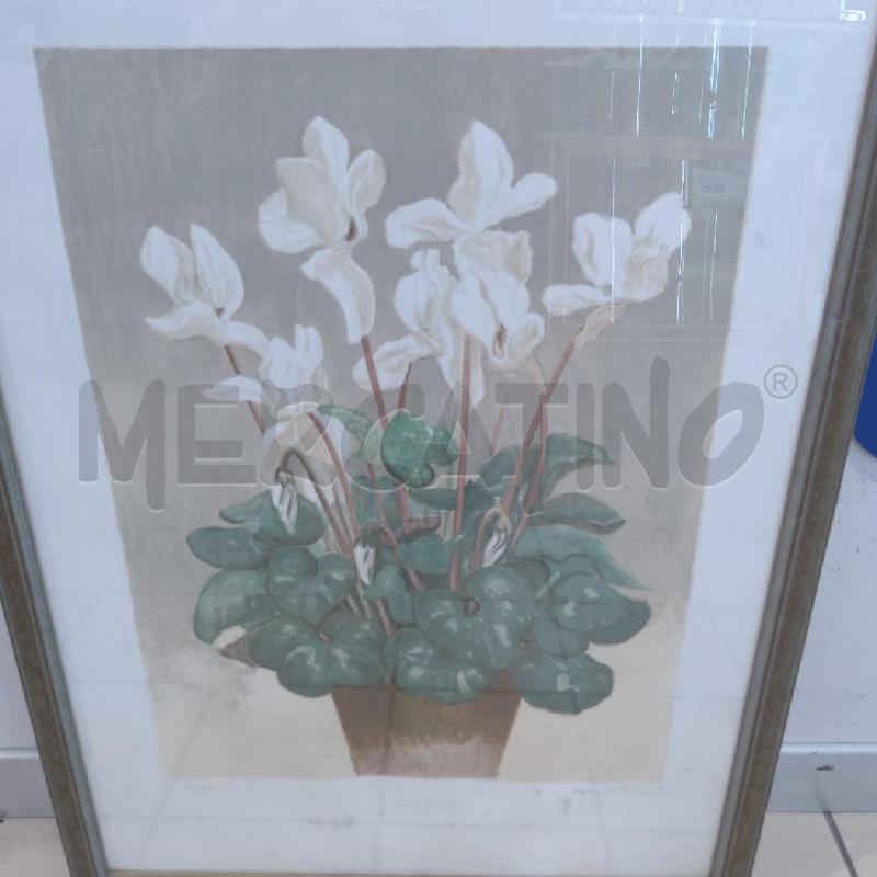 SERIGRAFIA NUMERATA 11/99 CICLAMINI BIANCHI | Mercatino dell'Usato San maurizio canavese 2