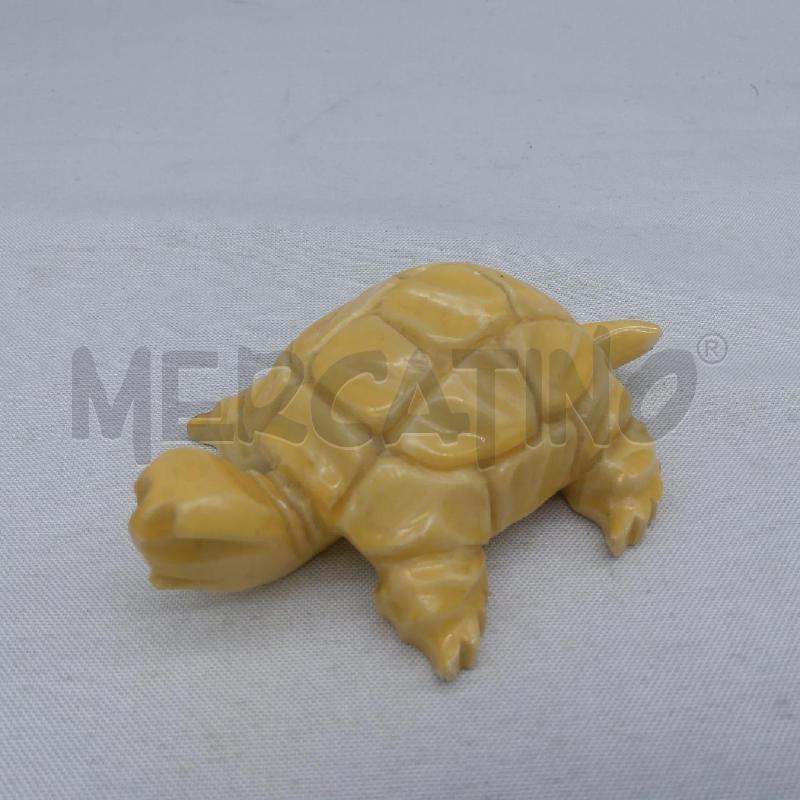 TARTARUGA PIETRA GIALLO | Mercatino dell'Usato San maurizio canavese 1