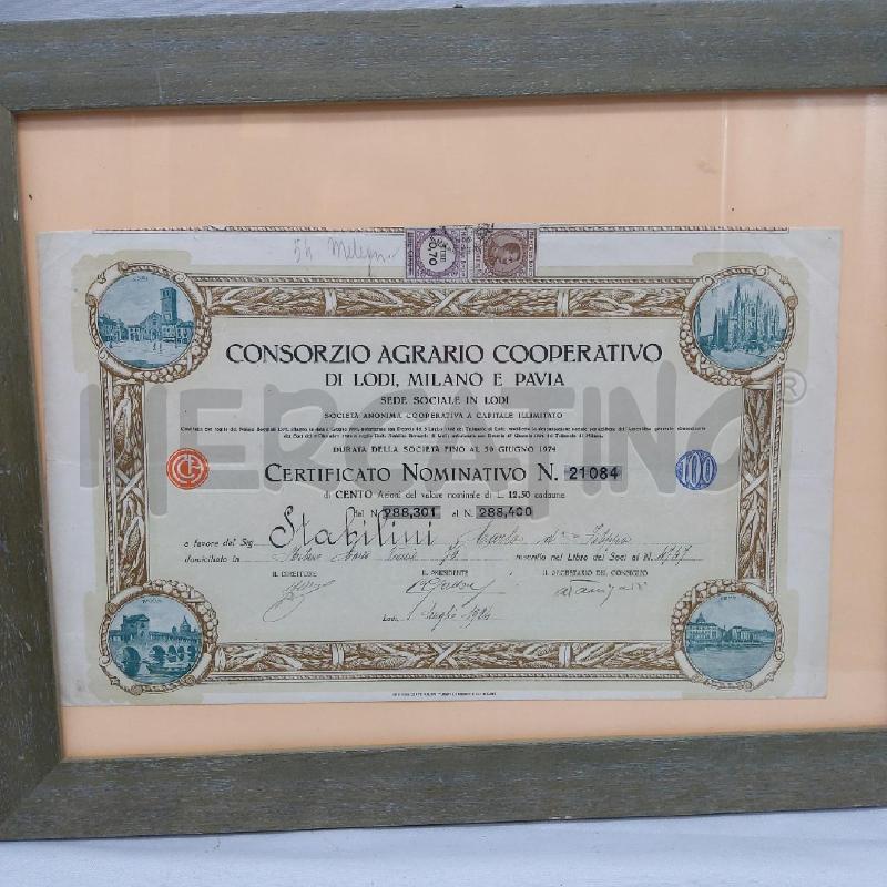 TITOLO CONSORZIO AGRARIO COOPERATIVO 1924 | Mercatino dell'Usato San maurizio canavese 3