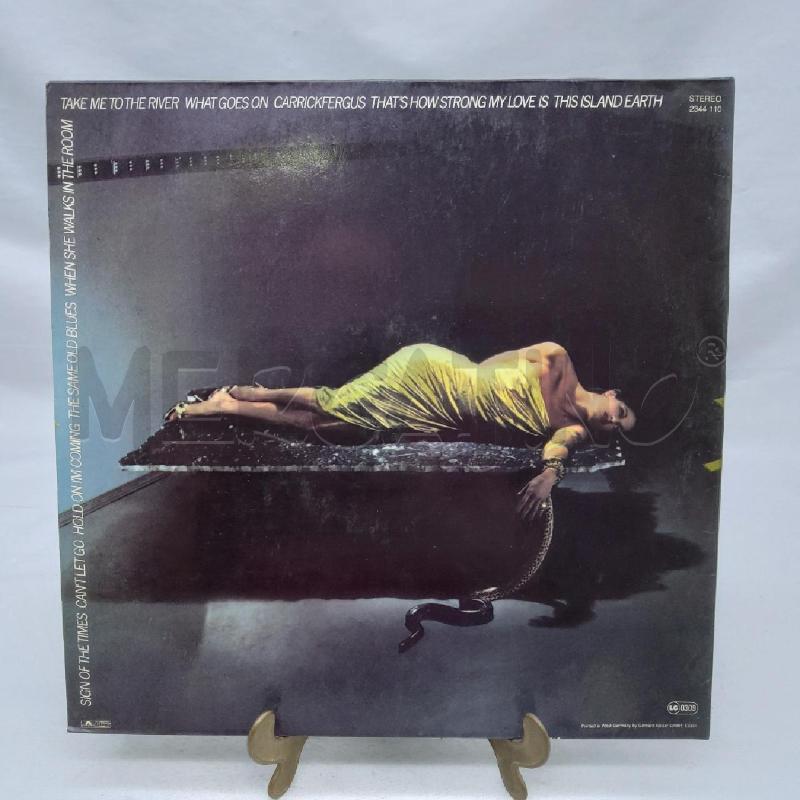 VINILE 33 GIRI BRYAN FERRY | Mercatino dell'Usato San maurizio canavese 2