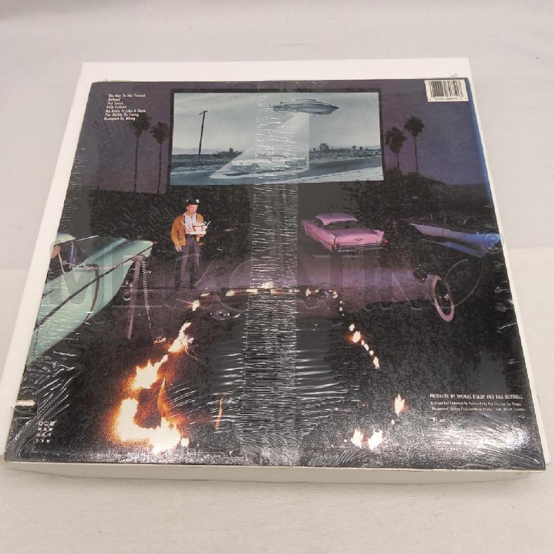 VINILE 33 GIRI THOMAS DOLBY ALIENS ATE MY BUICK | Mercatino dell'Usato San maurizio canavese 2