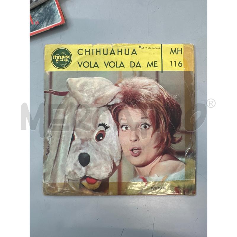 CHIHUAHUA VOLO VOLA DA ME  | Mercatino dell'Usato Chivasso 1