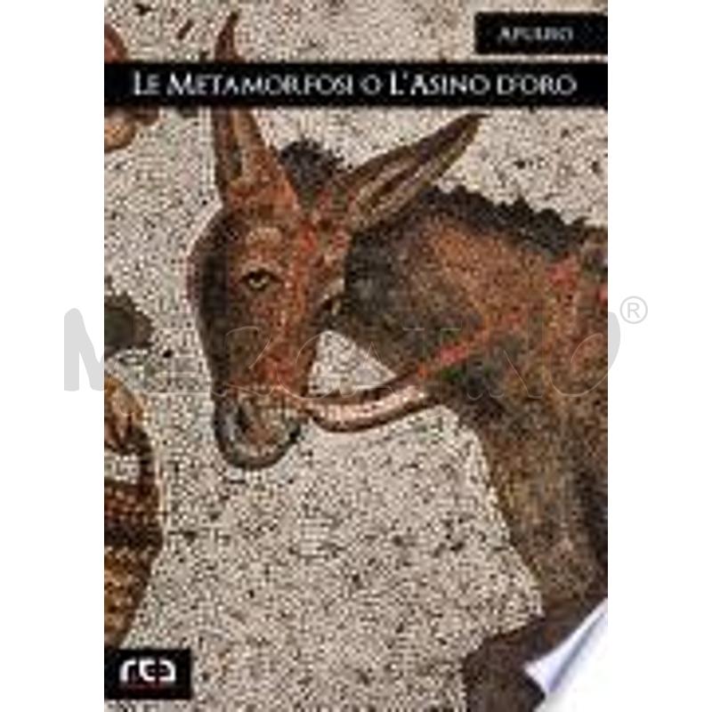 LE METAMORFOSI O L'ASINO D'ORO | Mercatino dell'Usato Chivasso 1