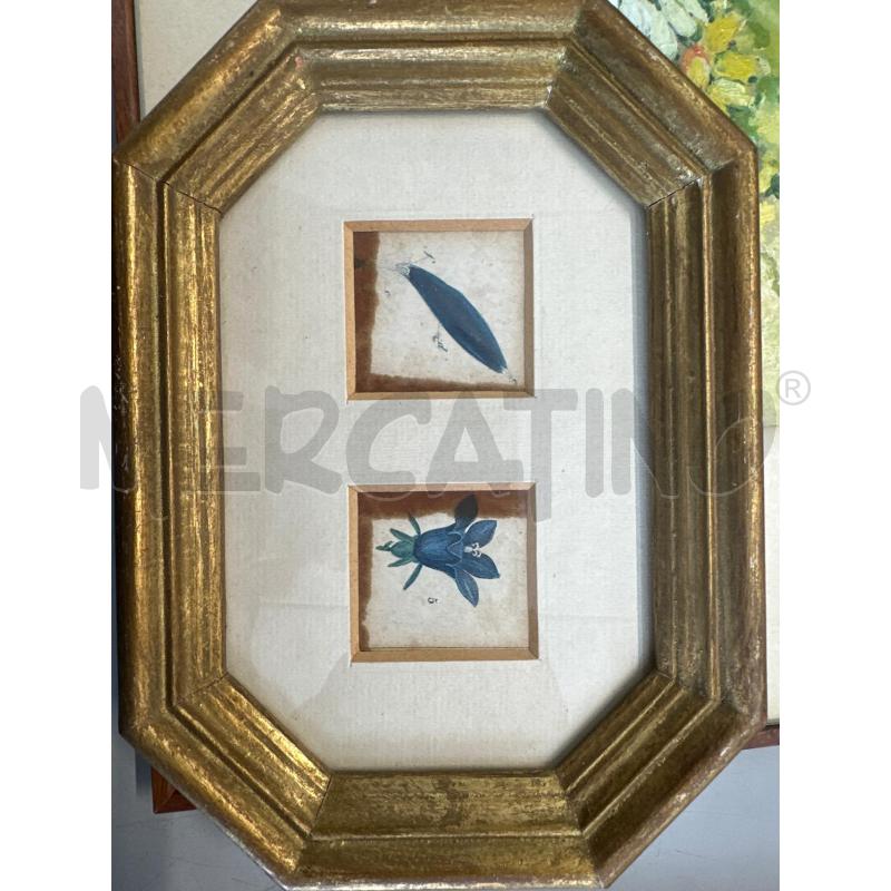 QUADRETTO INCISIONE 1800 | Mercatino dell'Usato Chivasso 1