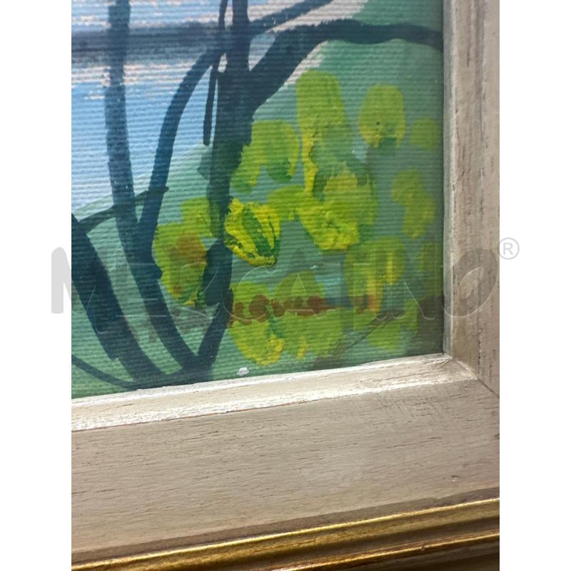 QUADRO 65X55 LAGHETTO CIGNI FONTANA | Mercatino dell'Usato Chivasso 2