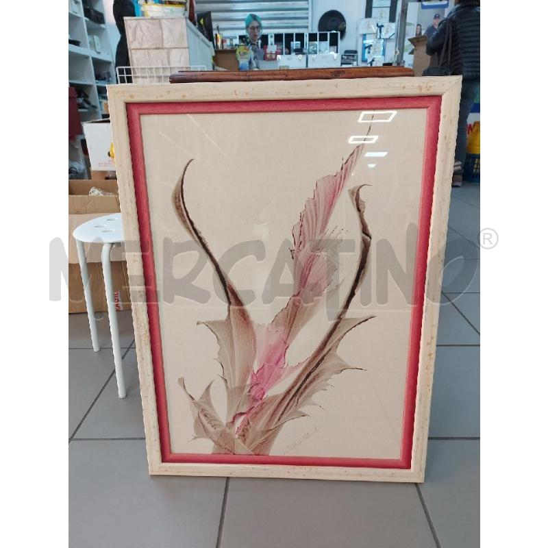 QUADRO STEFANO COLOMBO ACQUERELLO  ROSA PANNA | Mercatino dell'Usato Avigliana 1