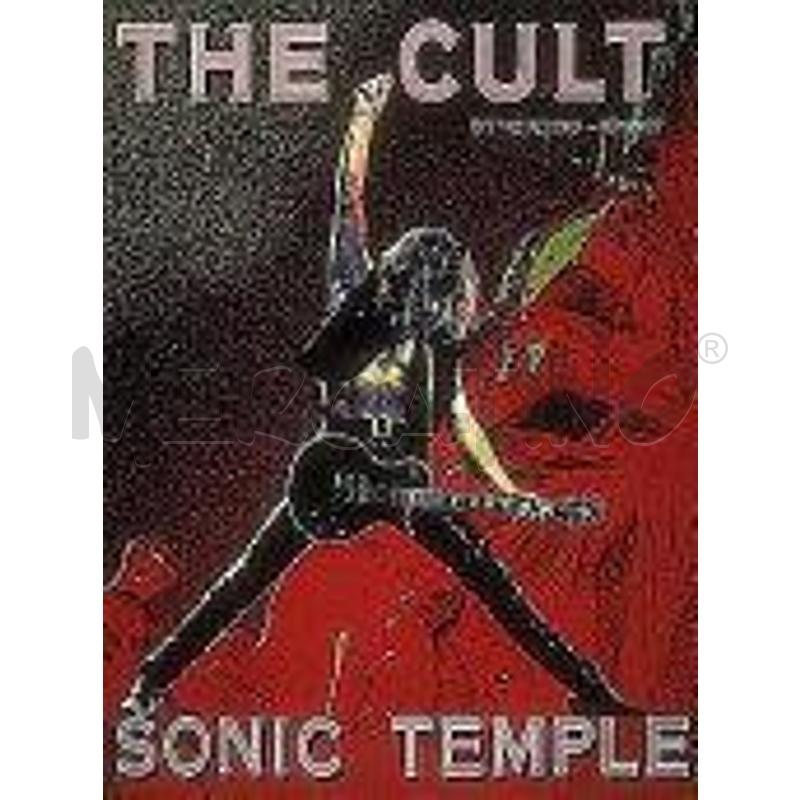SONIC TEMPLE | Mercatino dell'Usato Avigliana 1