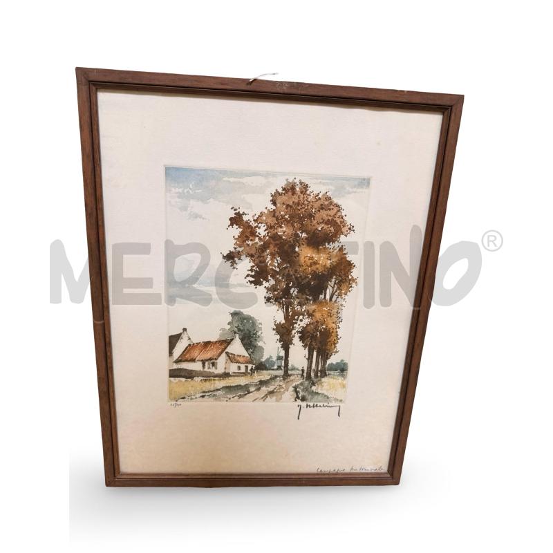 ACQUAFORTE A COLORI 25/350 DI ROBERT HEBBELINCK 33X43 CM CON AUTENTICA | Mercatino dell'Usato Osasco 1