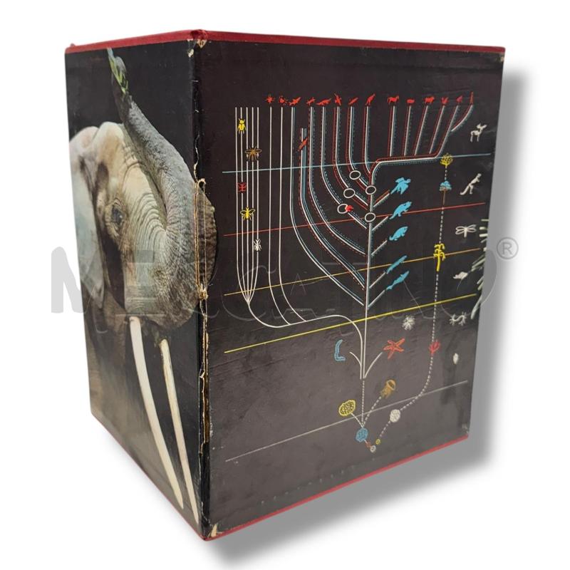 COFANETTO VITA DELGI ANIMALI CURCIO EDITORE 1964 4 VOLUMI | Mercatino dell'Usato Osasco 3