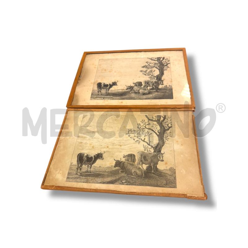 COLLEZIONE PZ 2 ACQUAFORTE 33X25 CM | Mercatino dell'Usato Osasco 1