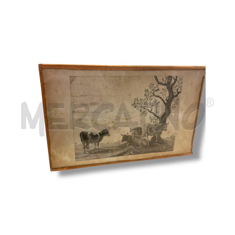 COLLEZIONE PZ 2 ACQUAFORTE 33X25 CM | Mercatino dell'Usato Osasco 2