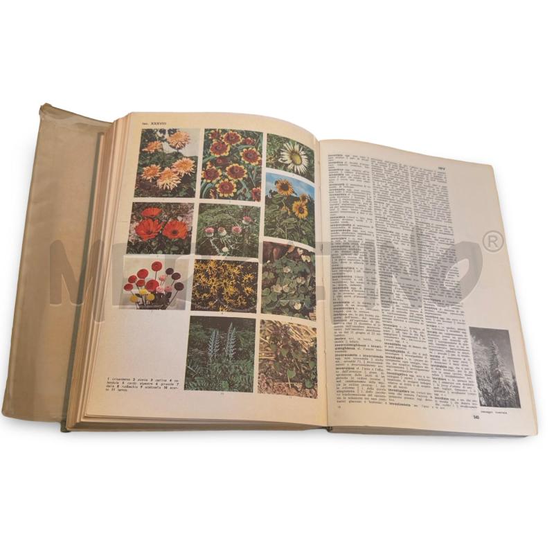MODERNISSIMO DIZIONARIO ILLUSTRATO 2 VOLUMI | Mercatino dell'Usato Osasco 3
