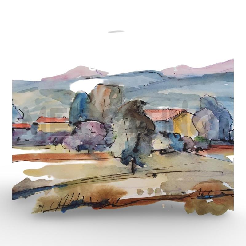 QUADRO ACQUERELLO CARENA 30X50 | Mercatino dell'Usato Osasco 2