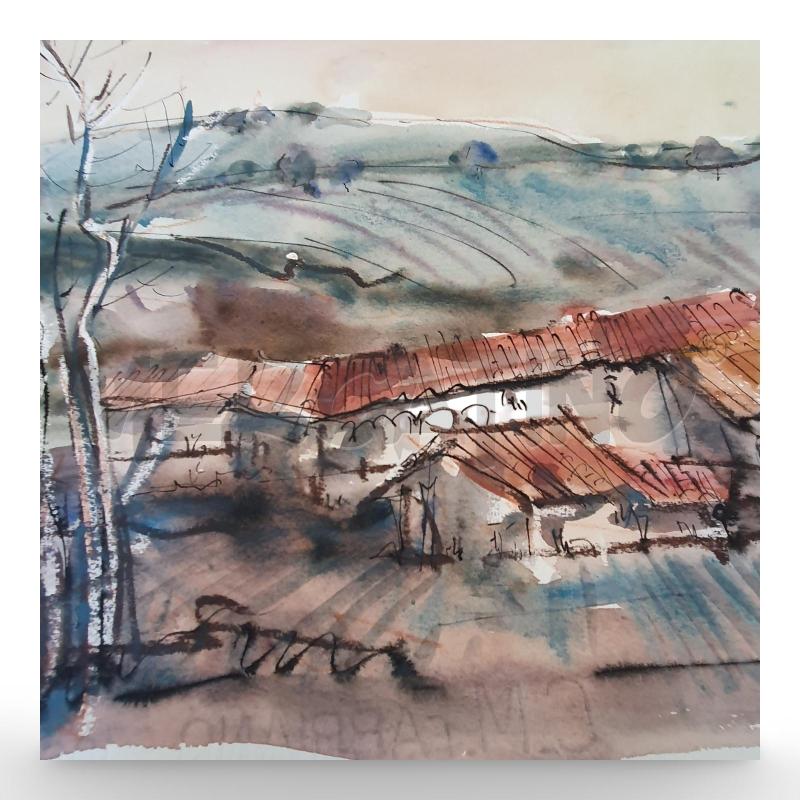 QUADRO ACQUERELLO CARENA 35X52 CM | Mercatino dell'Usato Osasco 2
