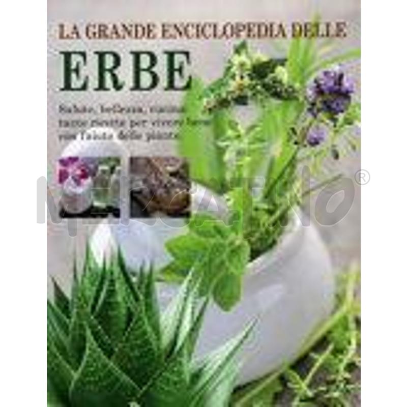 LA GRANDE ENCICLOPEDIA DELLE ERBE | Mercatino dell'Usato Torino via lanzo 1