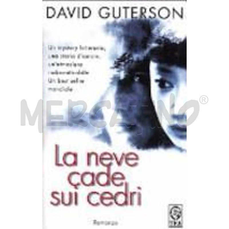 LA NEVE CADE SUI CEDRI | Mercatino dell'Usato Torino via lanzo 1