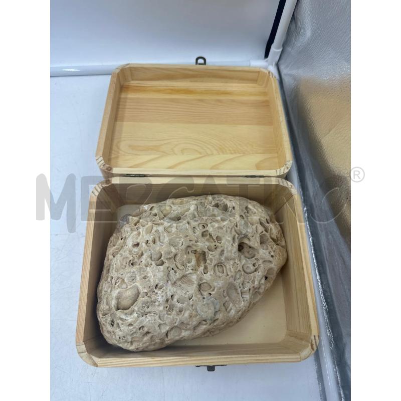 FOSSILE CON SCATOLA | Mercatino dell'Usato Marsala 2