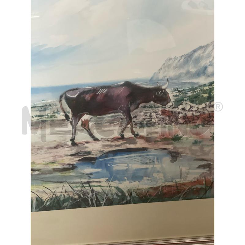 QUADRO ACQUARELLO MONTE COFANO MUCCHE | Mercatino dell'Usato Trapani via libica 3