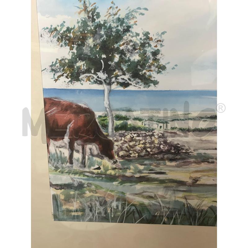 QUADRO ACQUARELLO MONTE COFANO MUCCHE | Mercatino dell'Usato Trapani via libica 4
