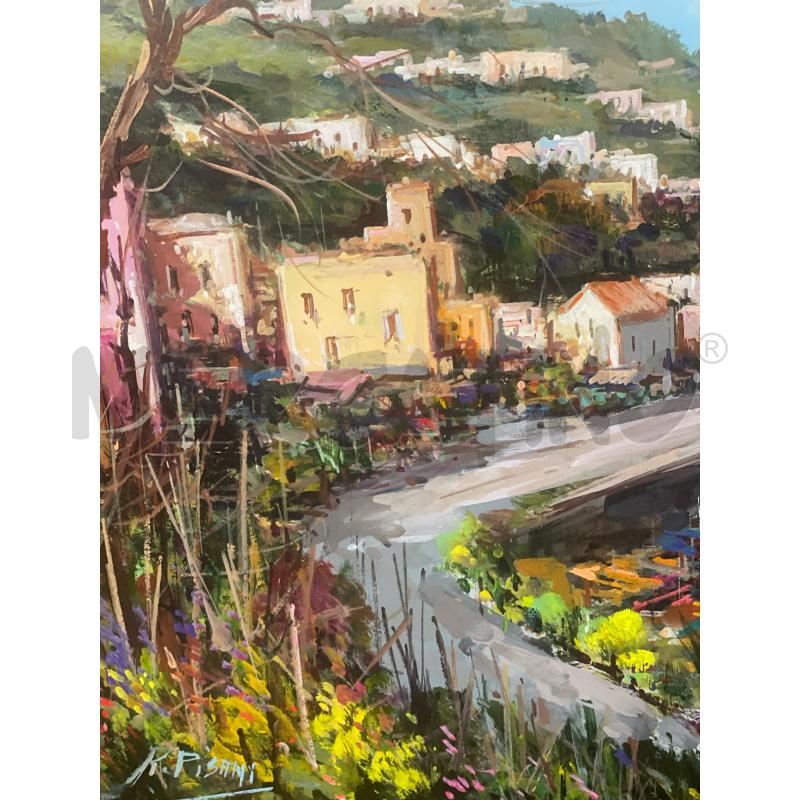QUADRO PITTURA PISANI  | Mercatino dell'Usato Trapani via libica 2