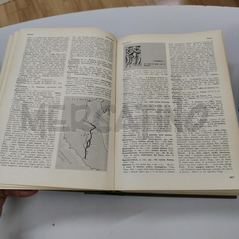 DIZIONARIO ILLUSTRATO DELLA LINGUA LATINA LE MONNIER  | Mercatino dell'Usato Alcamo 3