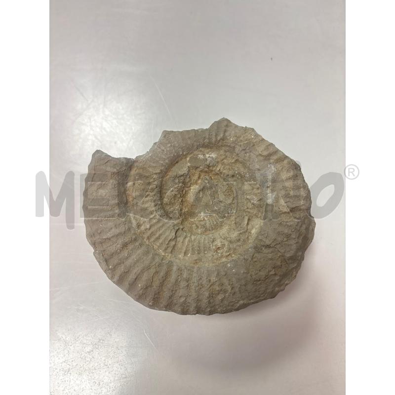 FOSSILE  | Mercatino dell'Usato Trapani corso mattarella 1