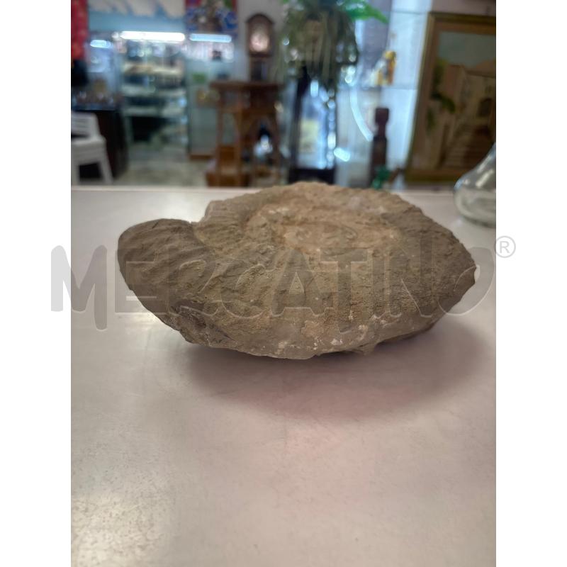 FOSSILE  | Mercatino dell'Usato Trapani corso mattarella 2