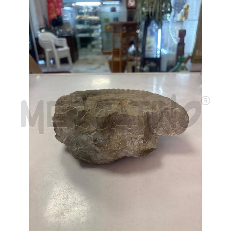 FOSSILE  | Mercatino dell'Usato Trapani corso mattarella 4
