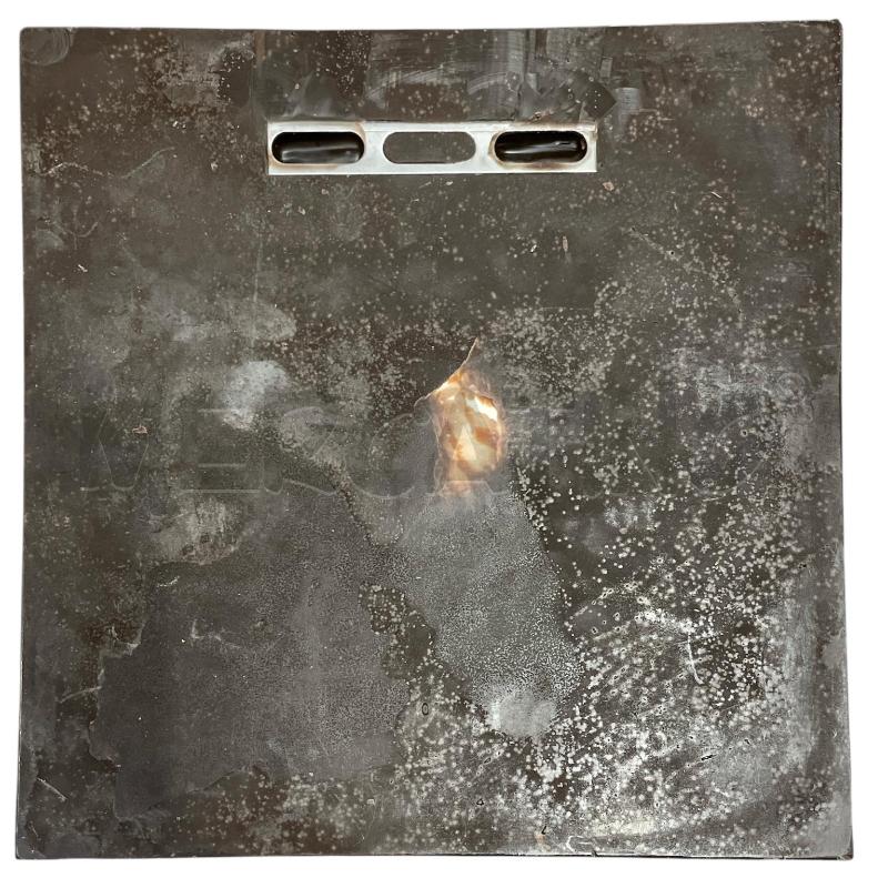 QUADRO MODELLO IN CERA CON CONCHIGLIA WAXWALL  | Mercatino dell'Usato Gallarate 2