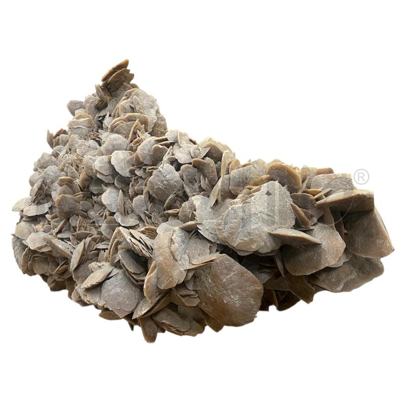 ROSA DEL DESERTO  | Mercatino dell'Usato Gallarate 3