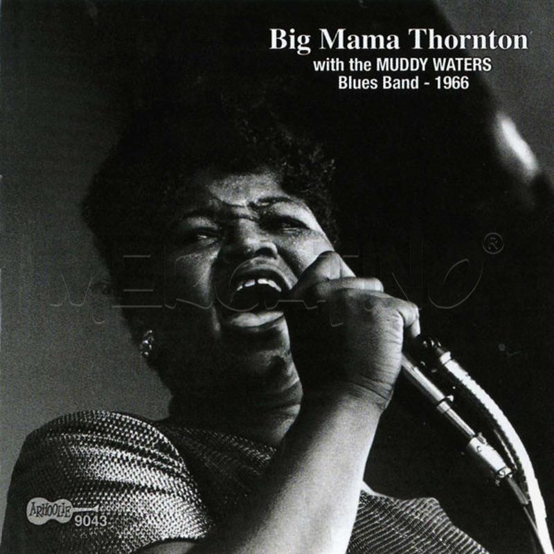 BIG MAMA THORNTON MUDDY WATERS BLUES BAND - 1966 | Mercatino dell'Usato Gazzada schianno 1