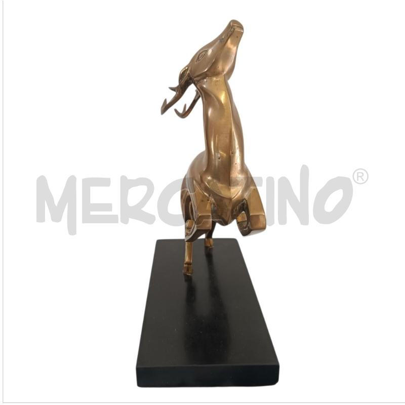 CERBIATTO  | Mercatino dell'Usato Verbania 1