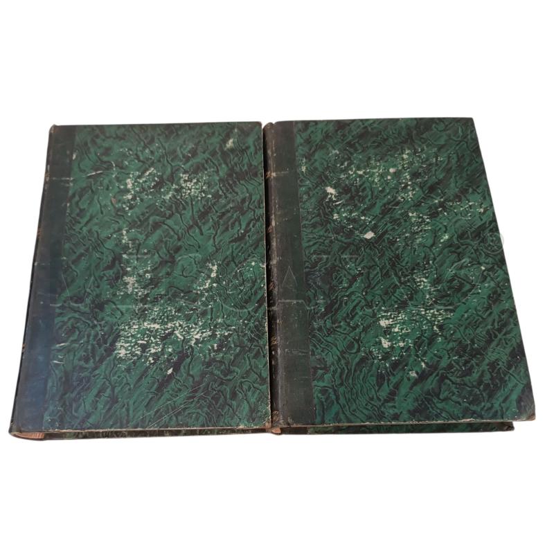 ELEMENTI DI PATOLOGIA DEL PROF. CHOMEL 1847 | Mercatino dell'Usato Verbania 2