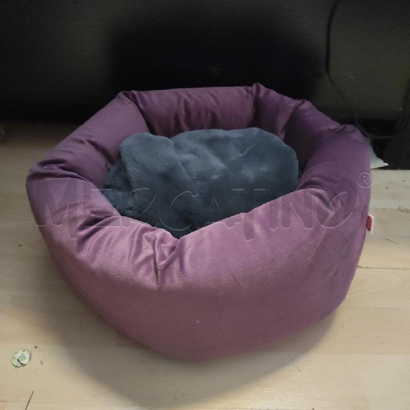 CUCCIA GATTO VIOLA GRIGIO  | Mercatino dell'Usato Domodossola 1