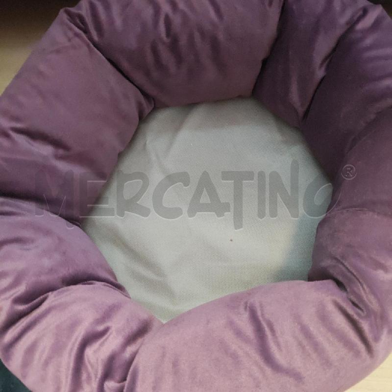 CUCCIA GATTO VIOLA GRIGIO  | Mercatino dell'Usato Domodossola 2