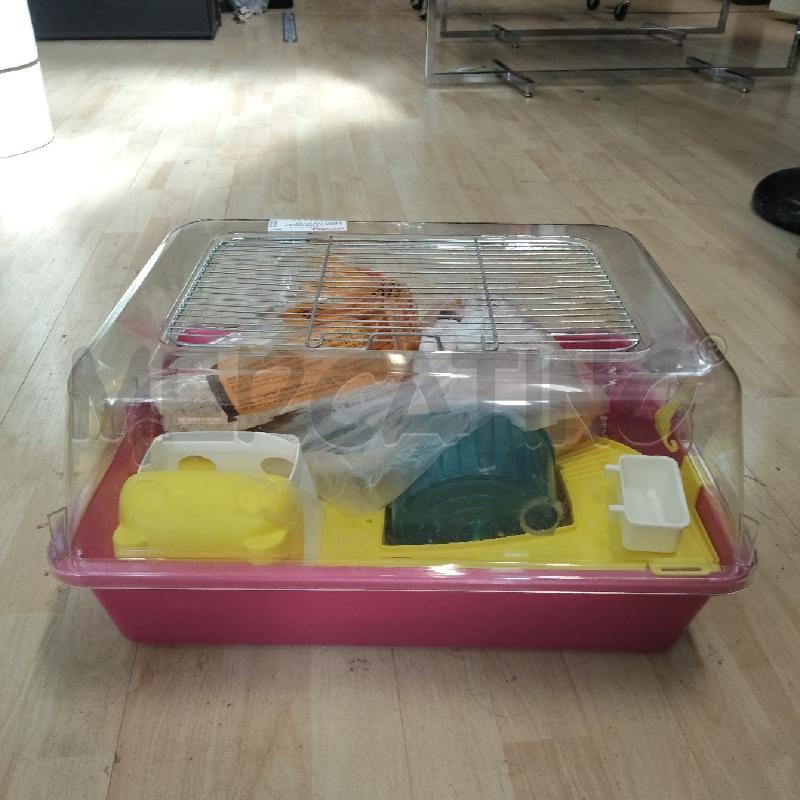 GABBIETTA PER CRICIETO ROSA CON ACCESSORI INTERNO | Mercatino dell'Usato Domodossola 1