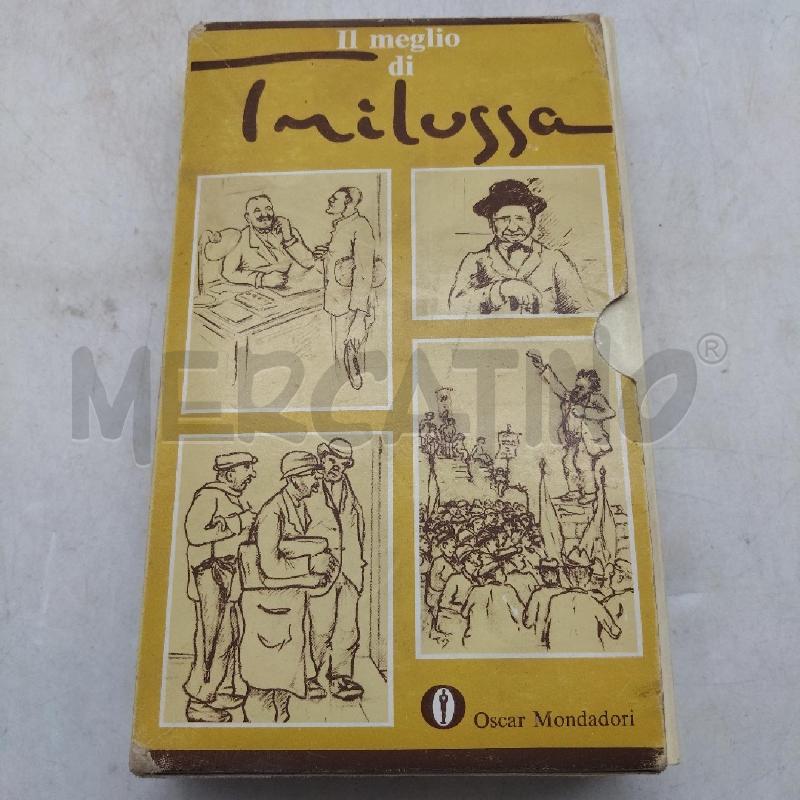 IL MEGLIO DI TRILUSSA | Mercatino dell'Usato Domodossola 1