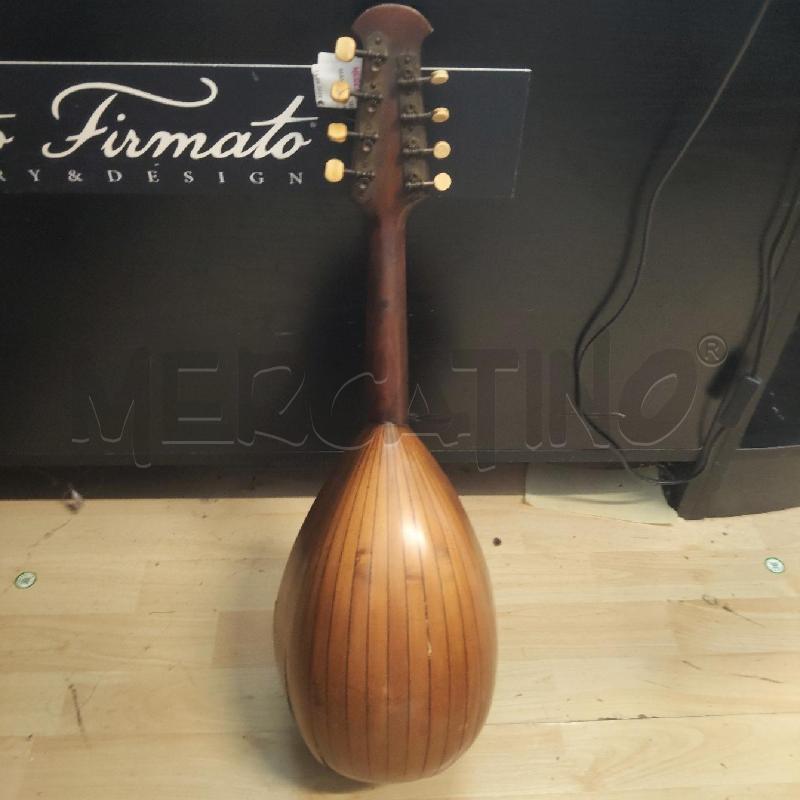 MANDOLINO A GUSCIO | Mercatino dell'Usato Domodossola 4