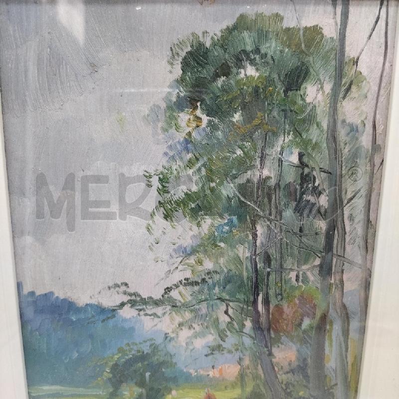 QUADRO ALBERO VEDUTA LA STAFFA  | Mercatino dell'Usato Domodossola 3