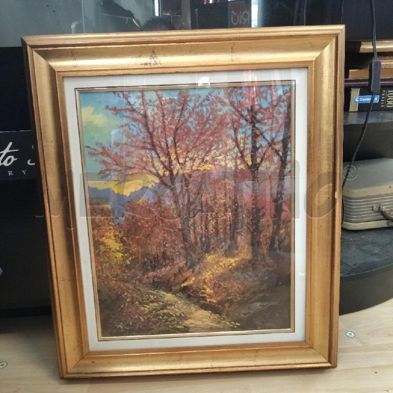 QUADRO BOSCO  | Mercatino dell'Usato Domodossola 1