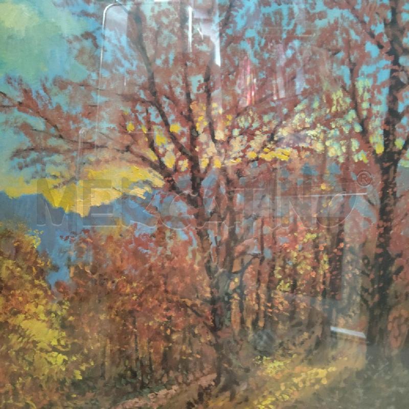 QUADRO BOSCO  | Mercatino dell'Usato Domodossola 3