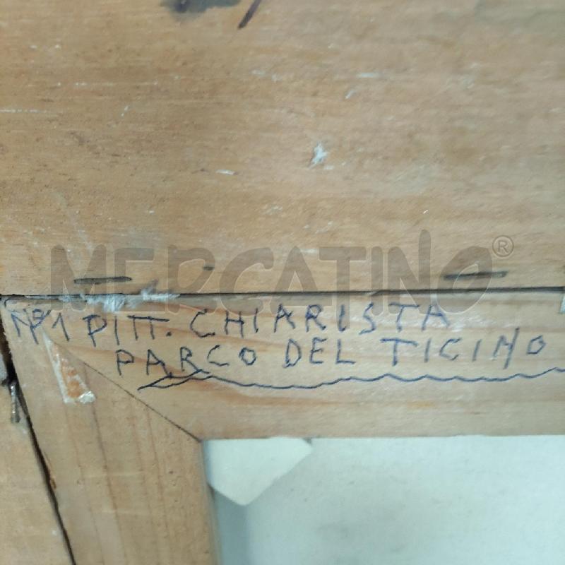QUADRO PARCO DEL TICINO CHIARISTA CORNICE BIANCA | Mercatino dell'Usato Domodossola 3