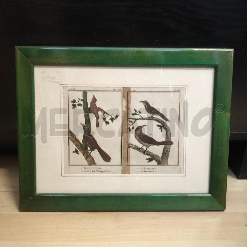QUADRO UCCELLI CORNICE VERDE | Mercatino dell'Usato Domodossola 1