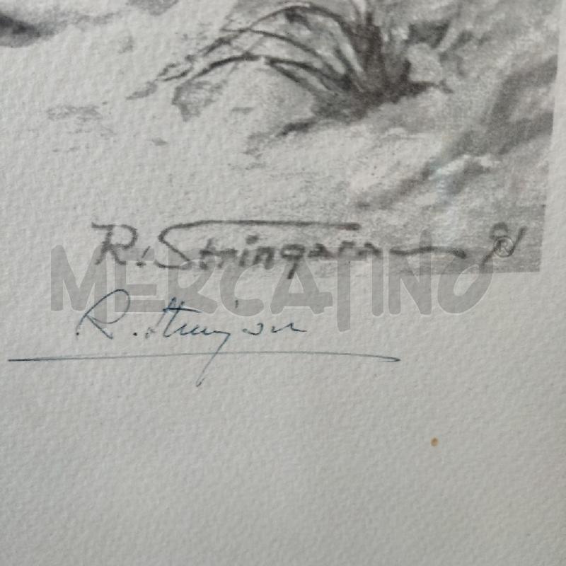 STAMPA STRINGARA MONTAGNA | Mercatino dell'Usato Domodossola 3