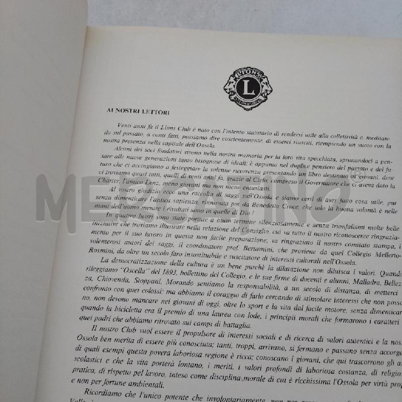 TERRA D'OSSOLA  | Mercatino dell'Usato Domodossola 2