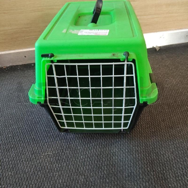 TRASPORTINO VERDE NERO  | Mercatino dell'Usato Domodossola 2