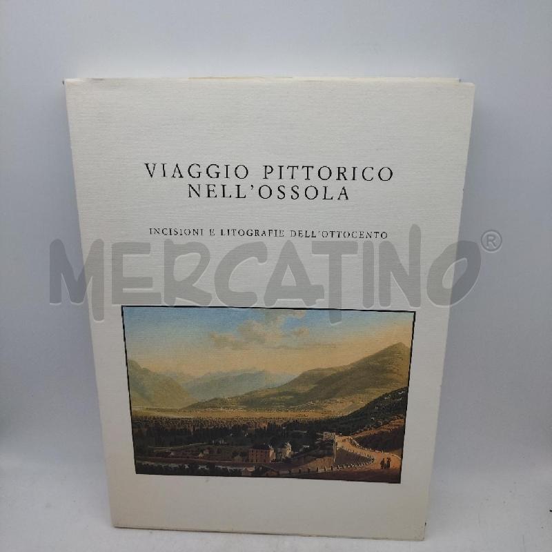 VIAGGIO PITTORICO NELL'OSSOLA | Mercatino dell'Usato Domodossola 1