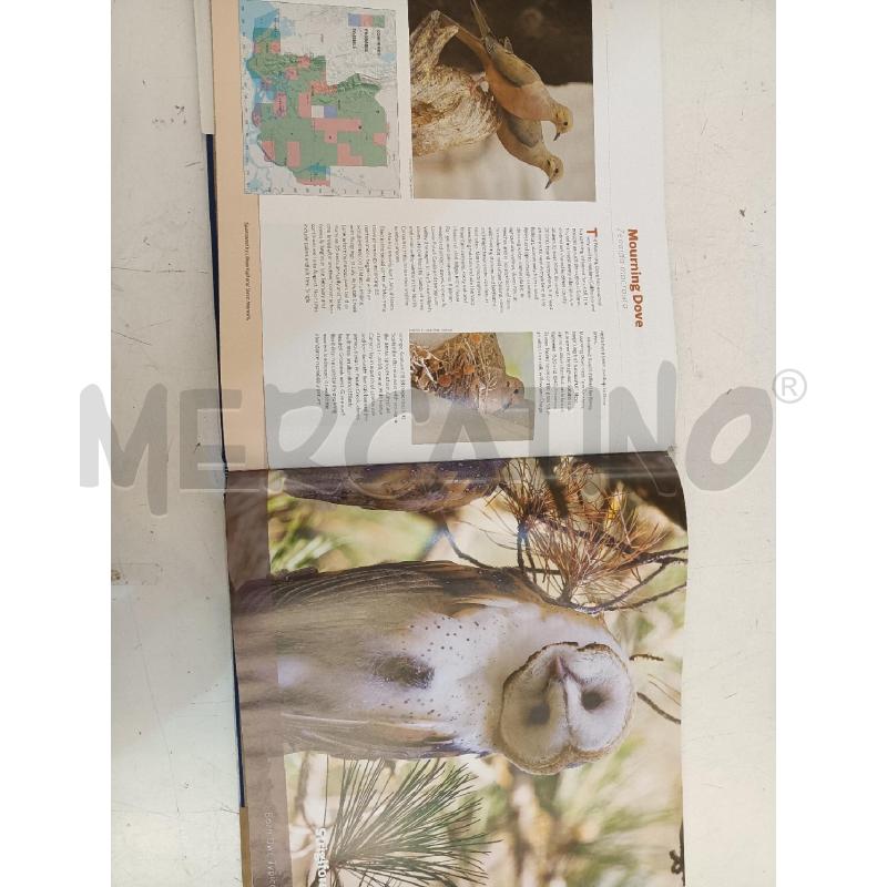 BREEDING BIRDS | Mercatino dell'Usato Mestre 3