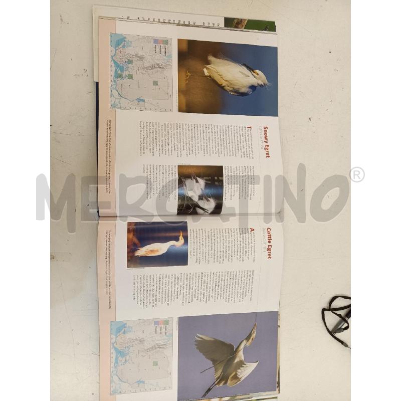 BREEDING BIRDS | Mercatino dell'Usato Mestre 4